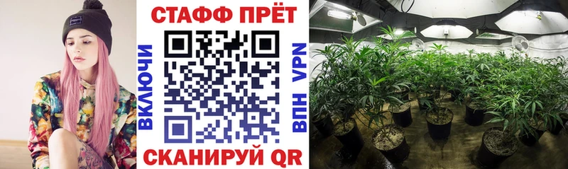 A PVP Малаховка