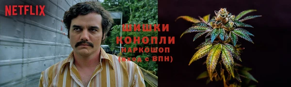 PSILOCYBIN Бугульма