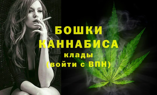 шишки Новокубанск
