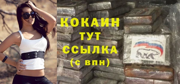 соль ск Ветлуга
